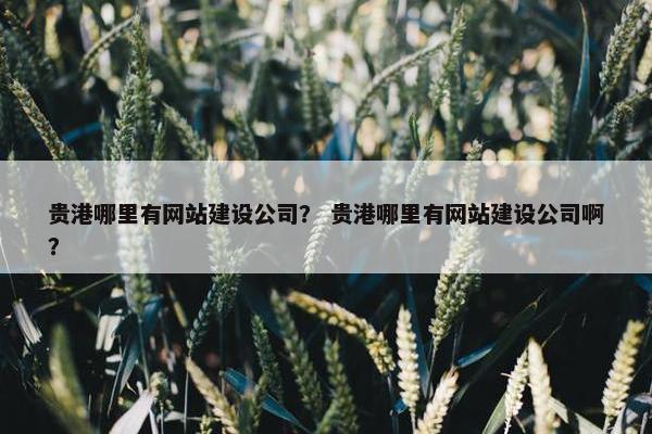 贵港哪里有网站建设公司？ 贵港哪里有网站建设公司啊？