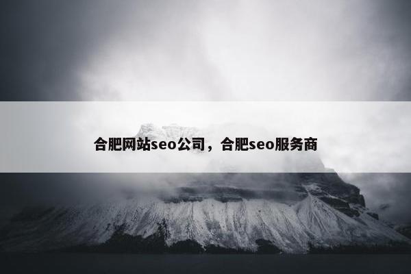 合肥网站seo公司，合肥seo服务商