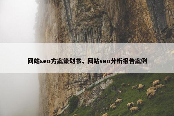 网站seo方案策划书，网站seo分析报告案例