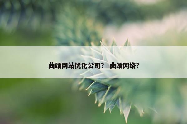曲靖网站优化公司？ 曲靖网络？