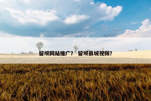 留坝网站推广？ 留坝县城视频？