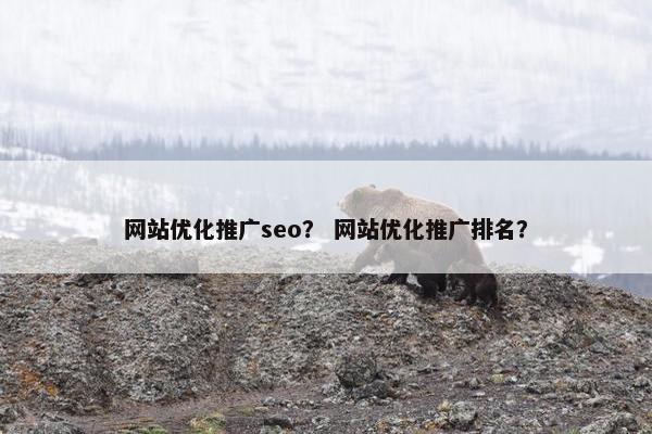 网站优化推广seo？ 网站优化推广排名？