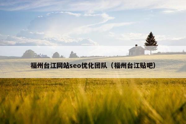 福州台江网站seo优化团队（福州台江贴吧）