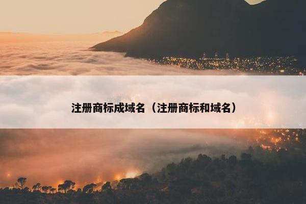 注册商标成域名（注册商标和域名）