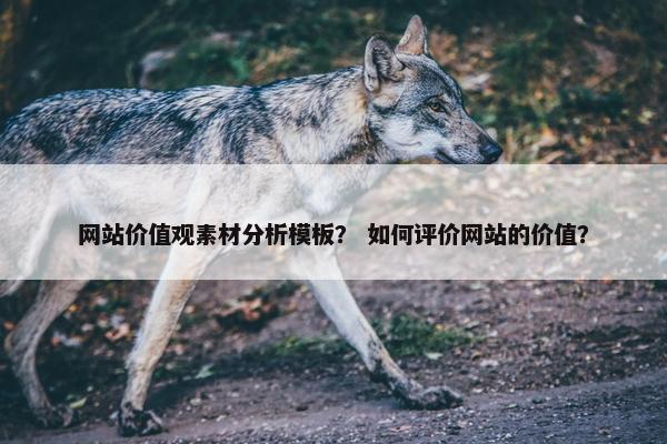 网站价值观素材分析模板？ 如何评价网站的价值？