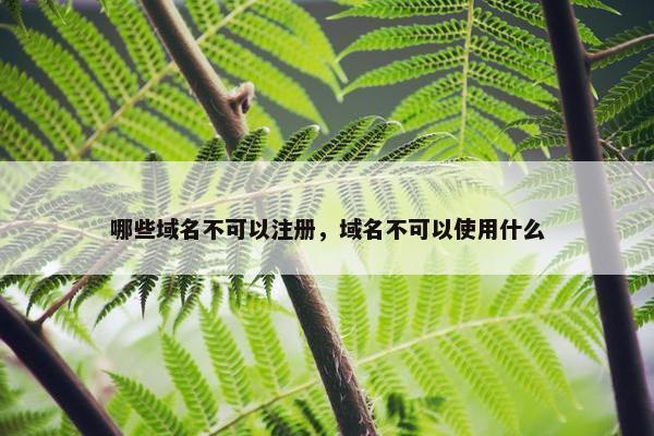 哪些域名不可以注册，域名不可以使用什么