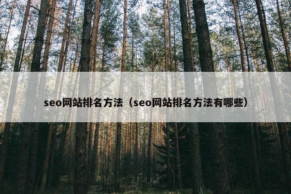 seo网站排名方法（seo网站排名方法有哪些）