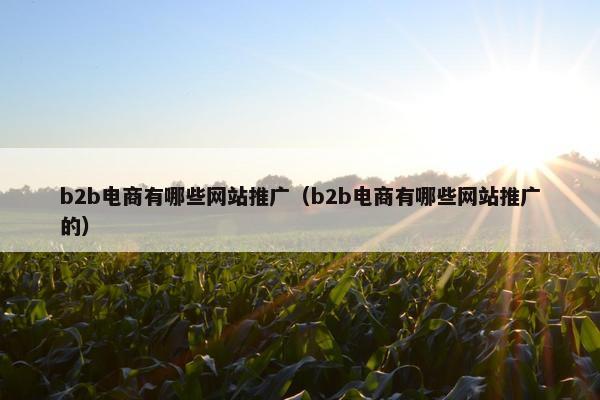 b2b电商有哪些网站推广（b2b电商有哪些网站推广的）