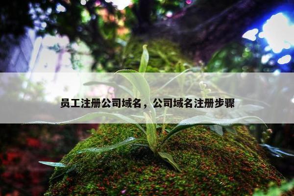 员工注册公司域名，公司域名注册步骤