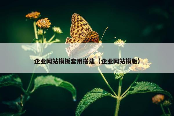企业网站模板套用搭建（企业网站模版）