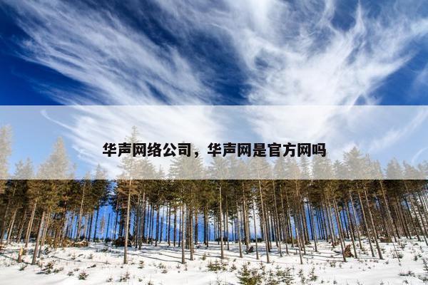 华声网络公司，华声网是官方网吗