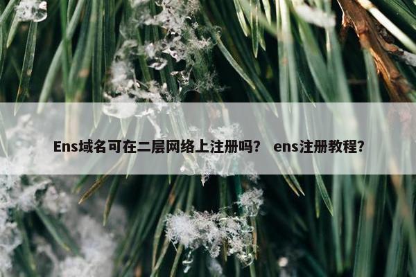 Ens域名可在二层网络上注册吗？ ens注册教程？