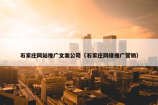 石家庄网站推广文案公司（石家庄网络推广营销）