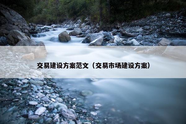 交易建设方案范文（交易市场建设方案）