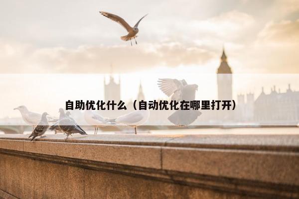 自助优化什么（自动优化在哪里打开）