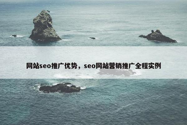 网站seo推广优势，seo网站营销推广全程实例