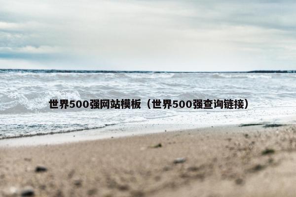 世界500强网站模板（世界500强查询链接）