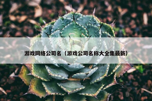 游戏网络公司名（游戏公司名称大全集最新）