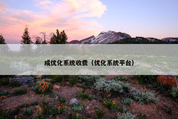 成优化系统收费（优化系统平台）