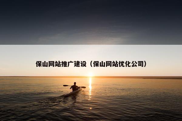 保山网站推广建设（保山网站优化公司）