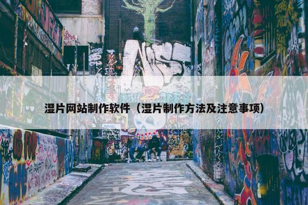 湿片网站制作软件（湿片制作方法及注意事项）
