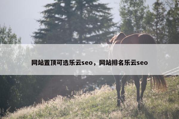网站置顶可选乐云seo，网站排名乐云seo