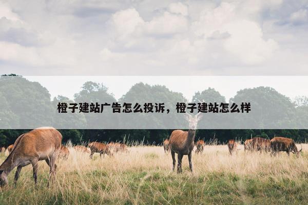 橙子建站广告怎么投诉，橙子建站怎么样