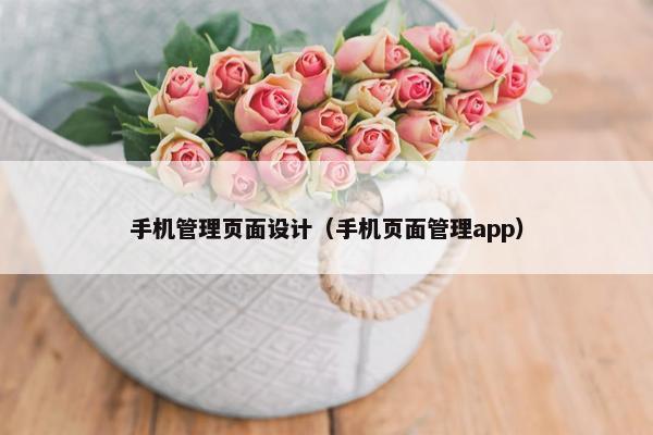 手机管理页面设计（手机页面管理app）