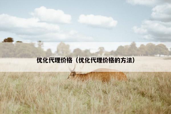 优化代理价格（优化代理价格的方法）