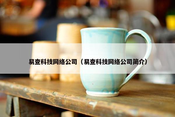 易查科技网络公司（易查科技网络公司简介）