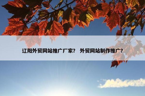 辽阳外贸网站推广厂家？ 外贸网站制作推广？