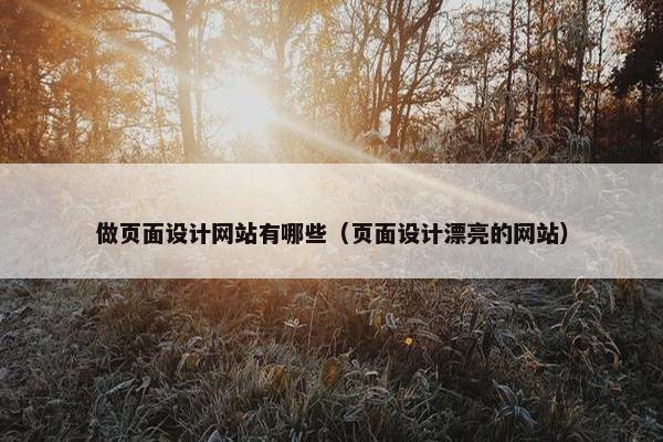 做页面设计网站有哪些（页面设计漂亮的网站）