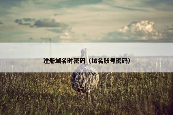 注册域名时密码（域名账号密码）