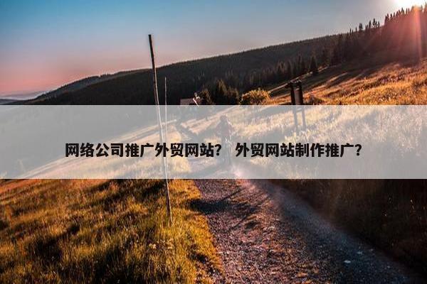 网络公司推广外贸网站？ 外贸网站制作推广？