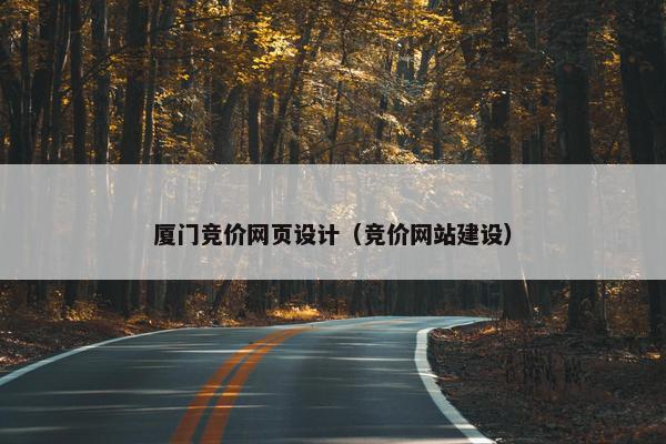 厦门竞价网页设计（竞价网站建设）