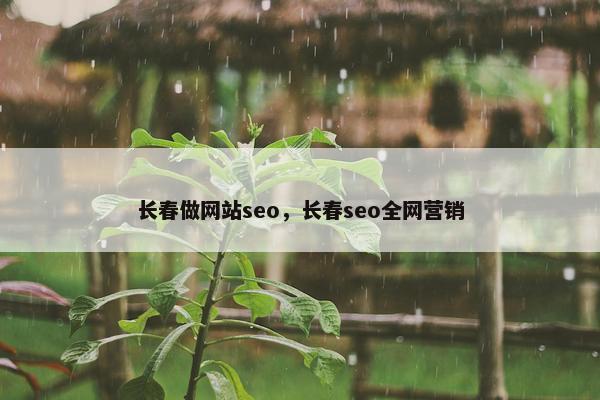 长春做网站seo，长春seo全网营销