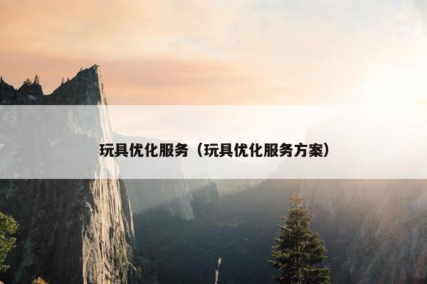 玩具优化服务（玩具优化服务方案）