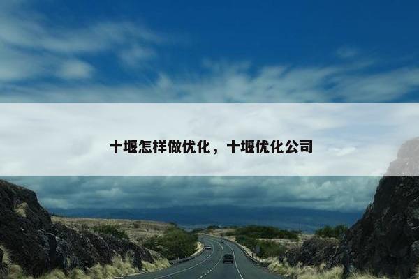 十堰怎样做优化，十堰优化公司