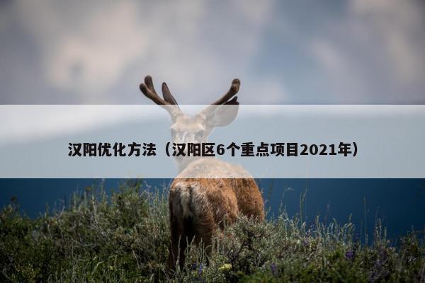 汉阳优化方法（汉阳区6个重点项目2021年）
