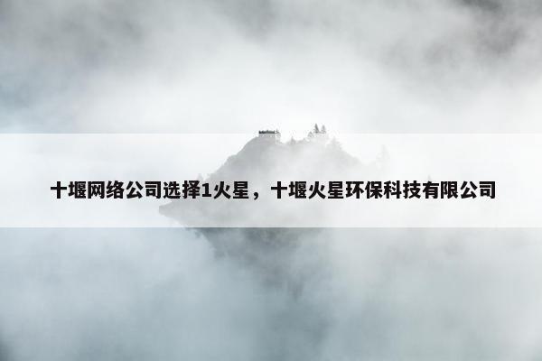 十堰网络公司选择1火星，十堰火星环保科技有限公司