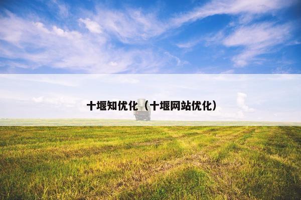 十堰知优化（十堰网站优化）