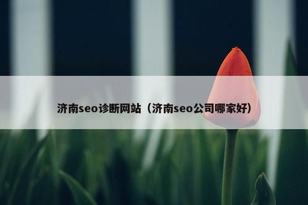 济南seo诊断网站（济南seo公司哪家好）