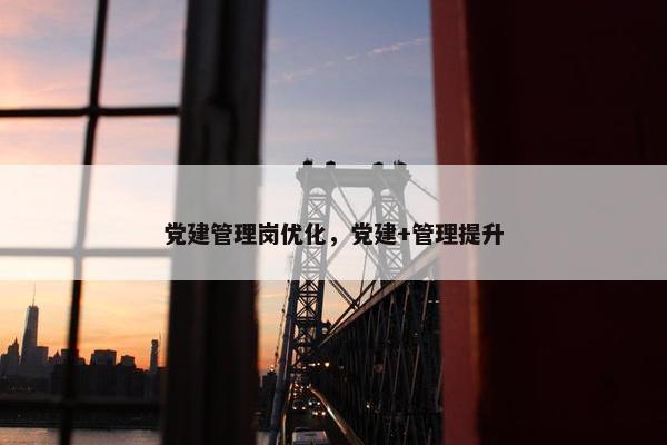 党建管理岗优化，党建+管理提升
