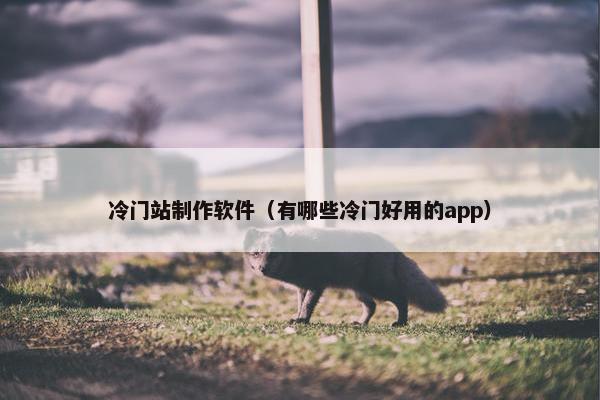 冷门站制作软件（有哪些冷门好用的app）