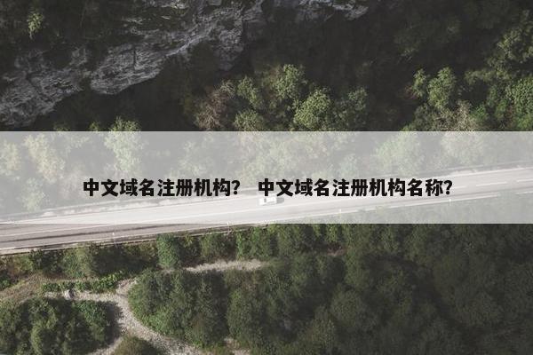 中文域名注册机构？ 中文域名注册机构名称？