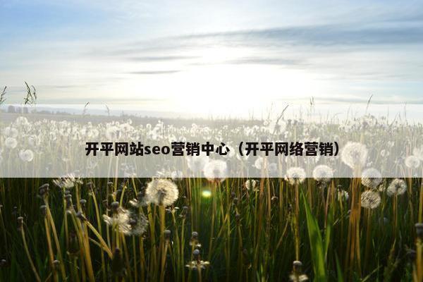 开平网站seo营销中心（开平网络营销）