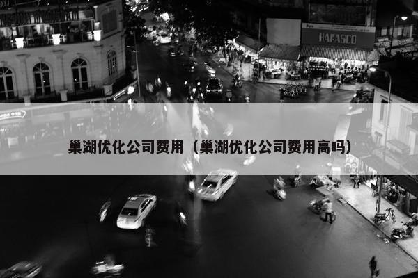 巢湖优化公司费用（巢湖优化公司费用高吗）
