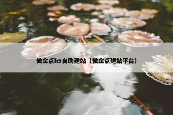 微企点h5自助建站（微企点建站平台）