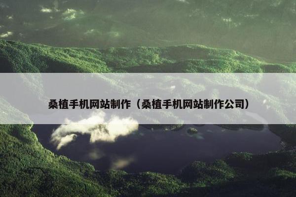 桑植手机网站制作（桑植手机网站制作公司）
