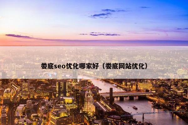 娄底seo优化哪家好（娄底网站优化）
